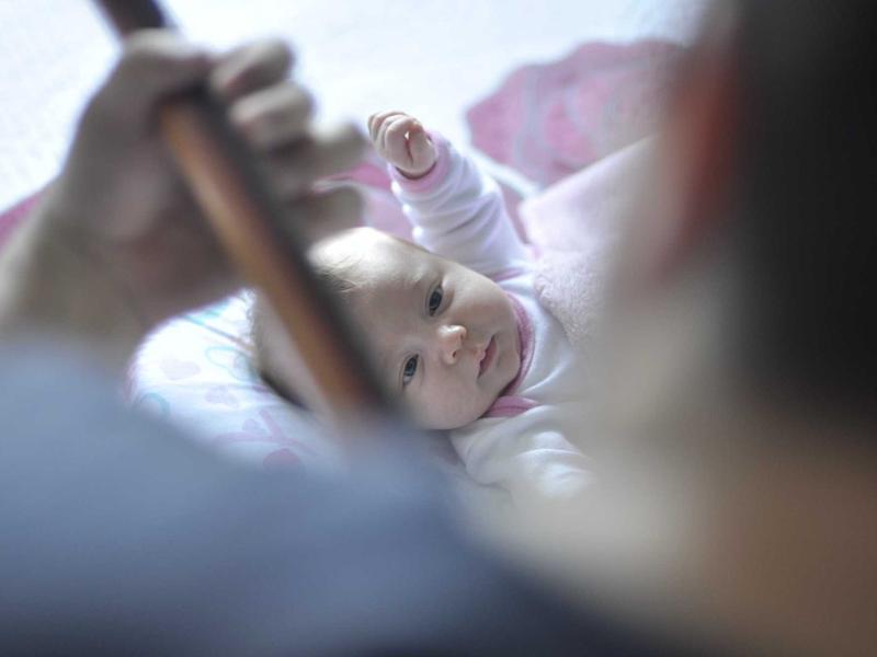 慢食运动<br>lyj4jayv.cn 产地直送餐桌